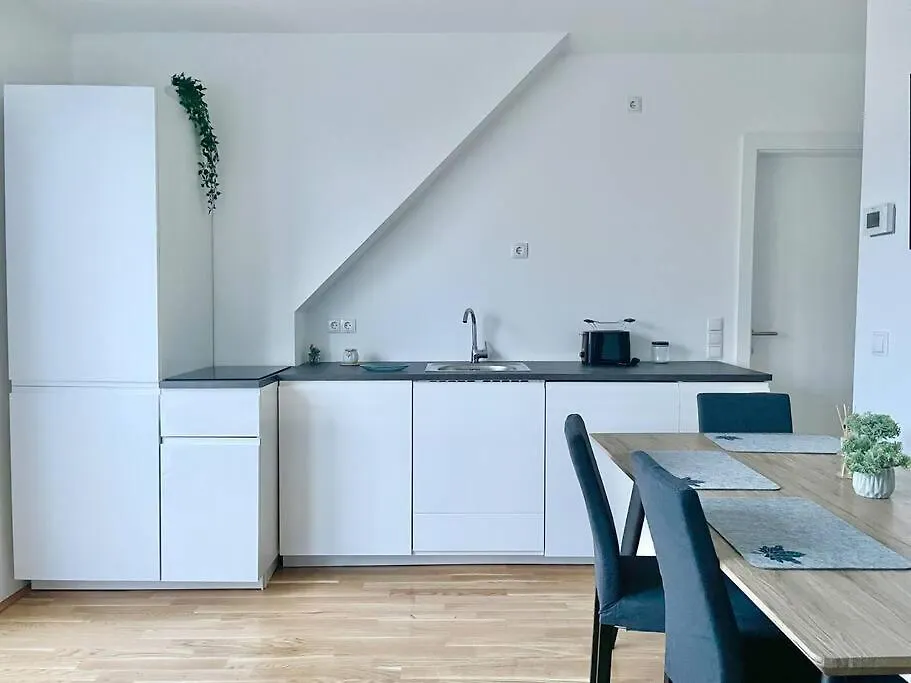 Rooftop Modern Apartment With Free Parking Vídeň